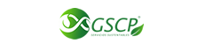 logo icon
